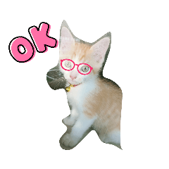 Nooporn_20210919225506