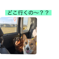総まとめ！