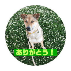 mizuki_20210920203535