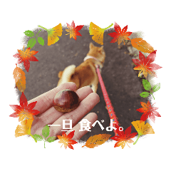 Hana_20210920204256