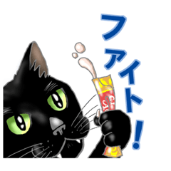 oreo_creamsand_blackcat_20210920165824