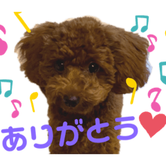 naho_20210920205548