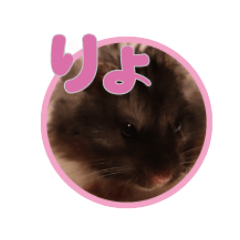 emily_20210914171443