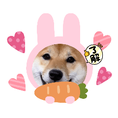 CHIBI_20210920211724