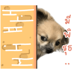 Namcha_CHACHA_20210920081801