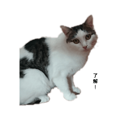 hoooku_20210914162249