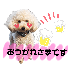 KONATSU_20210914160646