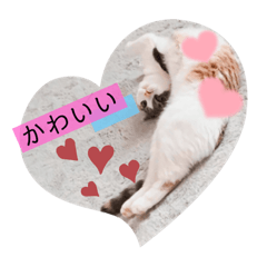 Sayuri_20210920231036