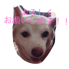 FU-KO2