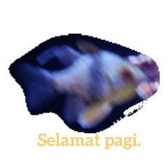 Indonesian daily conversation, fish