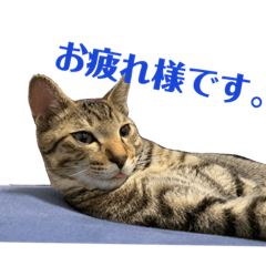 daichi_20210919204008