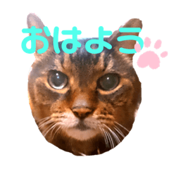 gorokuro_20210919120954