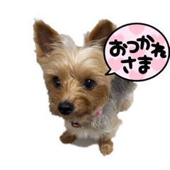 Ask_20210914195925