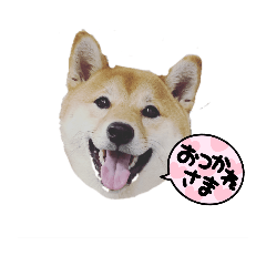CHIBI_20210920195134