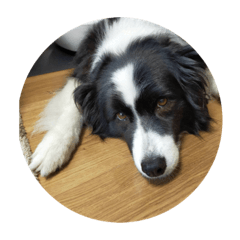 Chisa_20210914233430