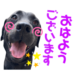 Ringo_20210921113320