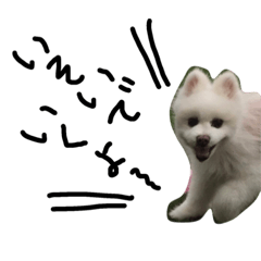 pomepon2
