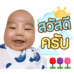 Ozone Krub