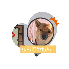 tomomi_20210921194208