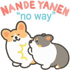 Kansai-dialect corgi animation sticker