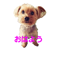 CORORI