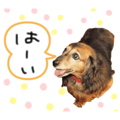 chiaki shiota_20210915121307