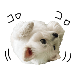 yamada_20210921185232