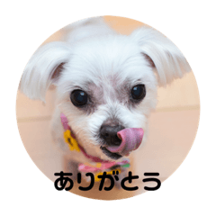 rina_20210921225522