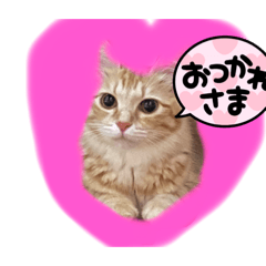 minako_20210915181529