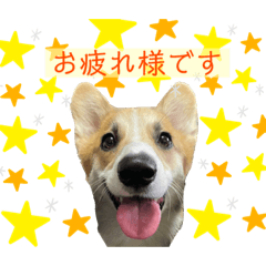 HANA_20210919180625