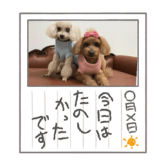 miki_20210922112243