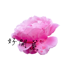 花很美字也美