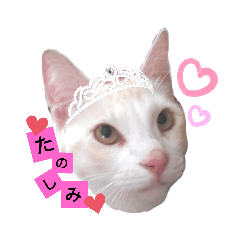 Rina,,