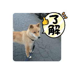 Ppv69cf1kzzx7m Ppv69cf1kzzx7m