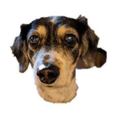 saori_20210916124015