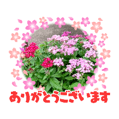 HELLO_20210922133439