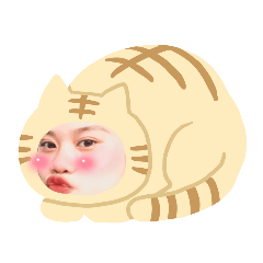 Nt特輯