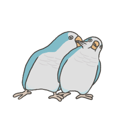藍和尚鸚鵡：雞和貢丸