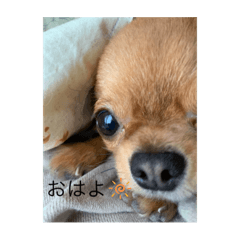 chan_20210915225222