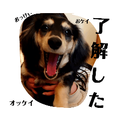 Yukari_20210916110526