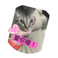 你絕對會用到的24張貼圖