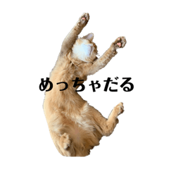 aoi_20210916185431