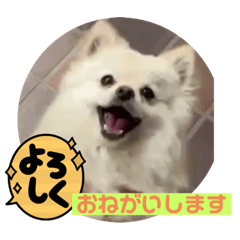 kuu_20210922174452