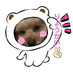 Hikari_20210922175403