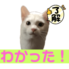 RINA_20210916193759