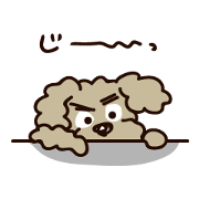 I love Toy Poodle !! I love Toy Poodle !!