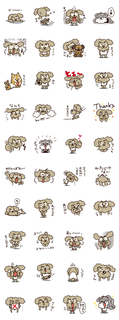 I love Toy Poodle !! I love Toy Poodle !!