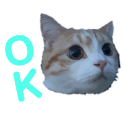 chiitan_20210922185654