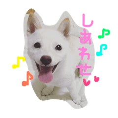 everyday with Masaru