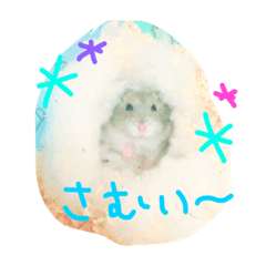hambonnotukaerusticker